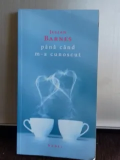 PANA CAND M-A CUNOSCUT - JULIAN BARNES