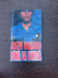 Pana la Limita - Joseph Wambaugh