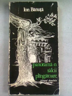 PANORAMA-N SALCII PLANGATOARE - ION BANUTA (DEDICATIE)