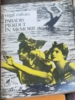 Paradis pierdut in memorie - Virgil Mihaiu