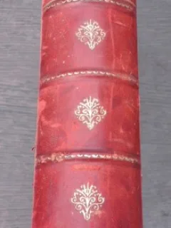 Paris, a vol d'oiseau, ilustratii de G. Fraipont  (carte in limba franceza)
