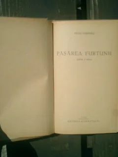 Pasarea furtunii - Petru Dumitriu