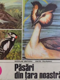 PASARI DIN TARA NOASTRA , TEXT DE MATEI TALPEANU , GRAFICA DE NICOLAE SAFTOIU , 1978