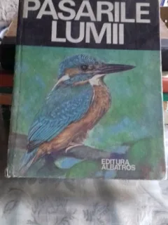 PASARILE LUMII - DIMITRIE RADU