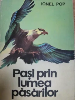 PASI PRIN LUMEA PASARILOR - IONEL POP