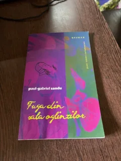 Paul-Gabriel Sandu Fuga din sala oglinzilor