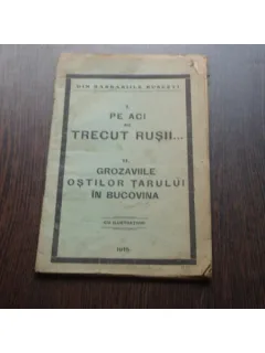 PE AICI AU TRECUT RUSII - GROZAVIILE OSTILOR TARULUI IN BUCOVINA