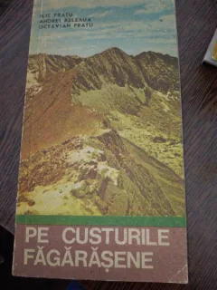 PE CUSTURILE FAGARASENE -  ILIE FRATU