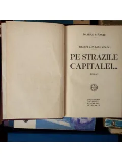 Pe strazile capitalei ... , Damian Stanoiu