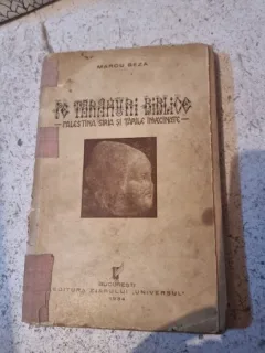 Pe taramuri biblice. Palestina, Siria si tarile invecinate - Marcu Beza