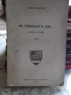 PE TARNAVA'N JOS. OAMENI SI LOCURI - HORIA TECULESCU