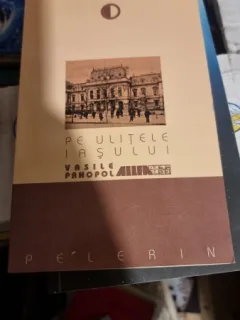 Pe ulitele Iasului - Vasile Panopol