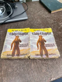 Pearl S. Buck - Chip cioplit (2 volume, 1943)