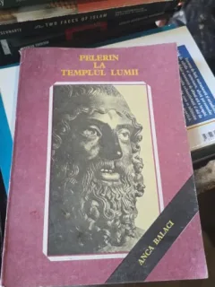 Pelerin la Templul Lumii - Anca Balaci