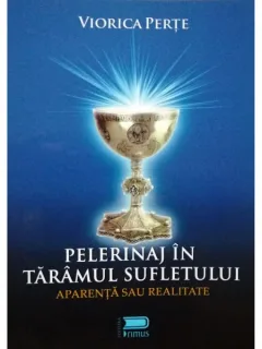 PELERINAJ IN TARAMUL SUFLETULUI, APARENTA SAU REALITATE - VIORICA PERTE