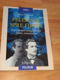 PELERINAJ SPRE FIINTA-DAN MANUCA