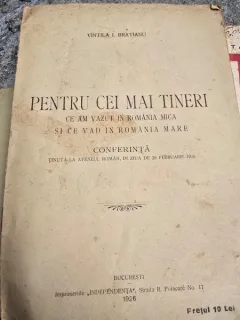 Pentru cei mai tineri. Ce am vazut in Romania Mica si ce vad in Romania Mare - Vintila I. Bratianu