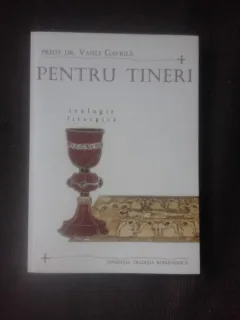 PENTRU TINERI, TEOLOGIE LITURGICA - VASILE GAVRILA