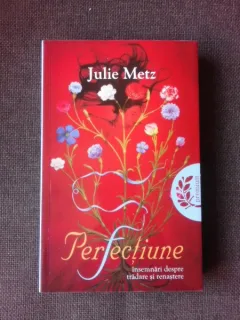 PERFECTIUNE, INSEMNARI DESPRE TRADARE SI RENASTERE - JULIE METZ