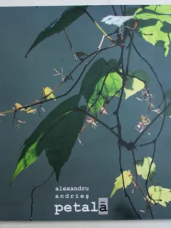 PETALA DE ALEXANDRU ANDRIES , 2009