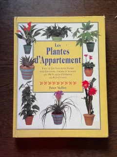 Peter McHoy Les Plantes d Appartement