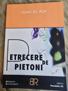 Petrecere de pietoni - Ioan S. Pop  versuri
