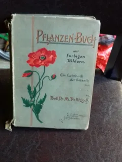 PFLANZEN - BUGH - M. DALITZSEN