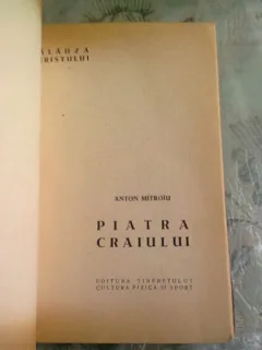 PIATRA CRAIULUI - ANTON MITROIU