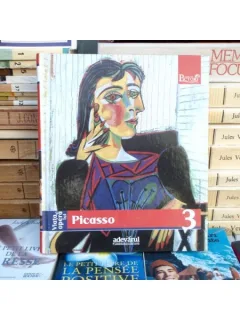 Picasso , Ioana Bogdan , 2009