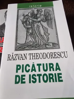 Picatura de istorie - Razvan Theodorescu