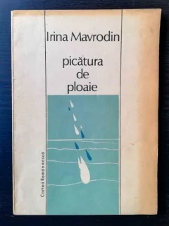 PICATURA DE PLOAIE - IRINA MAVRODIN