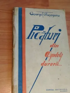 PICATURI DIN CANDELA DURERII...-GEORGE T. HASEGANU