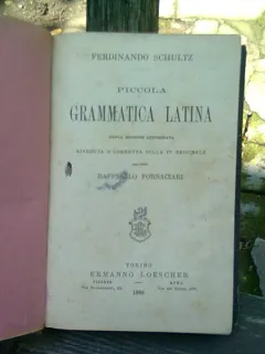 PICCOLA GRAMMATICA LATINA - RAFFAELLO FORNACIARI  (MICA GRAMATICA LATINA)
