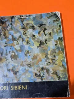 Pictori Sibieni - Ion Itu
