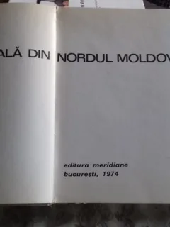 PICTURA MURALA DIN NORDUL MOLDOVEI - VIRGIL VATASIANU