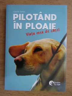 PILOTAND IN PLOAIE, VIATA MEA DE CATEL - GARTH STEIN