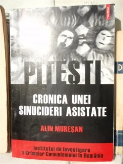 PITESTI , CRONICA UNEI SINUCIDERI ASISTATE , ALIN MURESAN