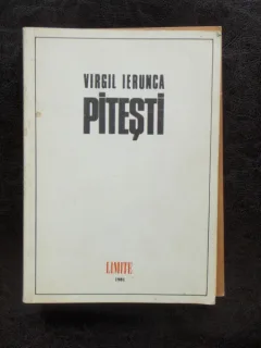 PITESTI - VIRGIL IERUNCA