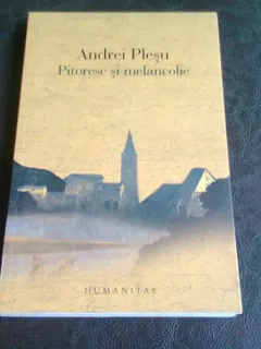 PITORESC SI MELANCOLIE - ANDREI PLESU