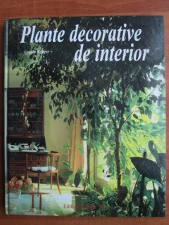 PLANTE DECORATIVE DE INTERIOR - URSULA KRUGER