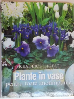 PLANTE IN VASE PENTRU TOATE ANOTIMPURILE , 2001