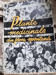 PLANTE MEDICINALE DIN FLORA SPONTANA