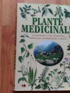 PLANTE MEDICINALE-PAOLA MANCINI