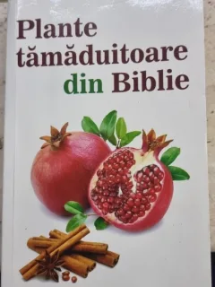 Plante tamaduitoare din Biblie