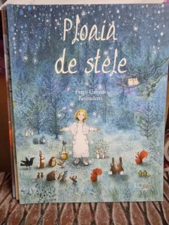 Ploaia de stele - Fratii Grimm