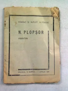 AMINTIRI - PLOPSOR