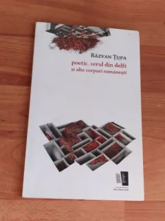 POETIC,CERUL DIN DELFT SI ALTE CORPURI ROMANESTI-RAZVAN TUPA