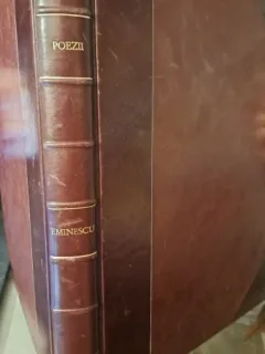 Poezii - M. Eminescu, planse de Perahim