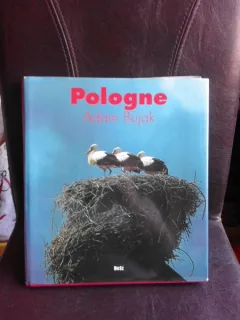 Pologne - Adam Bujak, carte fotografie