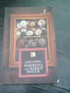PORTRETUL UNUI BARBAT IMATUR - LUIS LANDERO